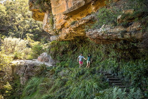 Private Guided: Blue Mountains Hiking & Nature Tour - Tourism Brisbane 2