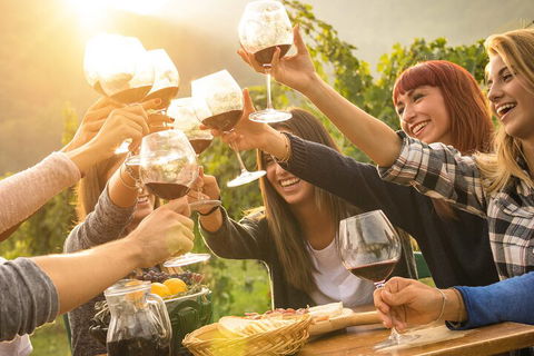 Mornington Peninsula Tour Inc Chairlift,beach Boxes,lunch,choc Tasting And More - Tourism Brisbane 3