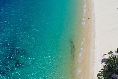 Private Tangalooma Wrecks Tour - Tourism Brisbane 1