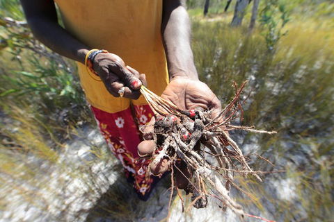Gay-Wu Woman's 5 Day Yolngu Homeland Tour - Tourism Brisbane 0