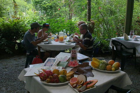 5-Day Best Of Cairns With Daintree, Kuranda, And Great Barrier Reef - Tourism Brisbane 4