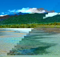 8-Day Cairns Tour Great Barrier Reef Kuranda Daintree Rainforest - Tourism Brisbane