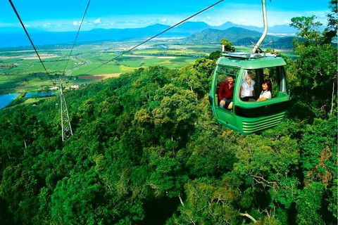 4-Day Cairns Ultimate Combo: Daintree Rainforest, Reef, Kuranda & Paronella Park - Tourism Brisbane 1