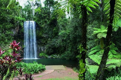 Paronella Park And Millaa Millaa Falls Full-day Tour From Cairns - Tourism Brisbane 3