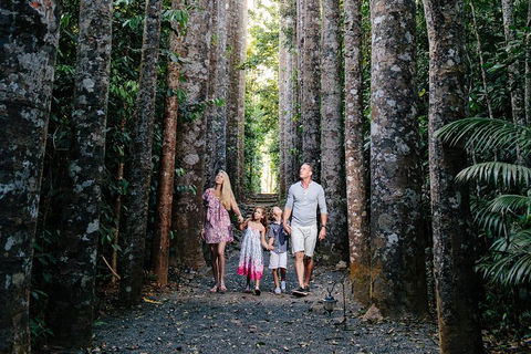 Paronella Park And Millaa Millaa Falls Full-day Tour From Cairns - Tourism Brisbane 5