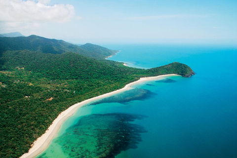 Cape Tribulation, Mossman Gorge, And Daintree Rainforest Premium Day Tour - Tourism Brisbane 2