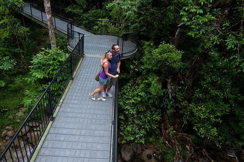 Cape Tribulation, Mossman Gorge, And Daintree Rainforest Premium Day Tour - Tourism Brisbane 3