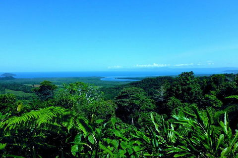 Cape Tribulation, Mossman Gorge, And Daintree Rainforest Premium Day Tour - Tourism Brisbane 5