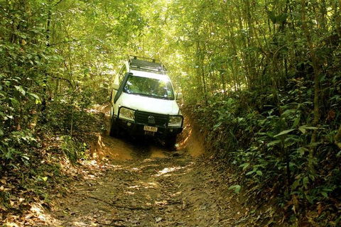Barron Gorge And Kuranda National Park Half Day Rainforest And Waterfall 4WD Tour From Cairns - Tourism Brisbane 2