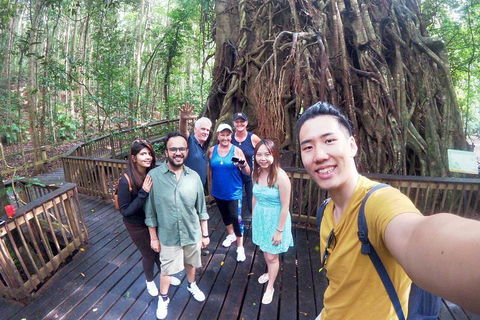 Barron Gorge And Kuranda National Park Half Day Rainforest And Waterfall 4WD Tour From Cairns - Tourism Brisbane 5