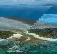 4-Day Cairns with Great Barrier Reef and Daintree Rainforest - Tourism Brisbane