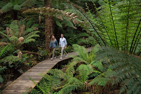 2 Day Exclusively Private Tour Of Phillip Island & The Great Ocean Road - Tourism Brisbane 5