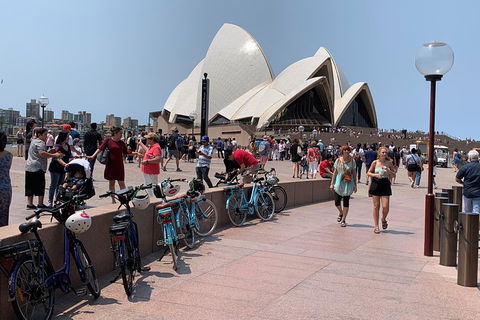 The Big Easy - Tourism Brisbane 4