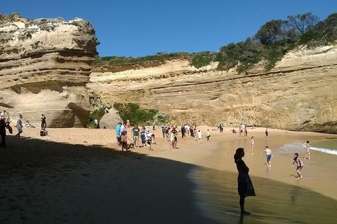 Great Ocean Road Full Day Private Experience - Tourism Brisbane 3