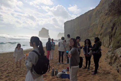Great Ocean Road Full Day Private Experience - Tourism Brisbane 4