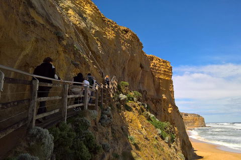 Private Express Experience - 12 Apostles - Tourism Brisbane 3
