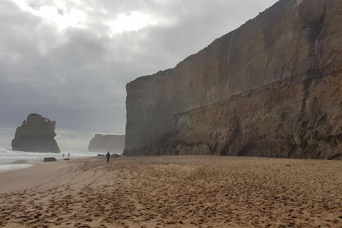 Private Express Experience - 12 Apostles - Tourism Brisbane 4