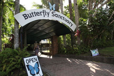 Kuranda Day Trip From Port Douglas Upgrade To Skyrail & Scenic Train Available - Tourism Brisbane 0