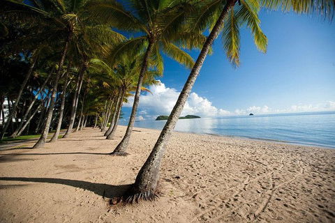 Kuranda Day Trip From Port Douglas Upgrade To Skyrail & Scenic Train Available - Tourism Brisbane 1