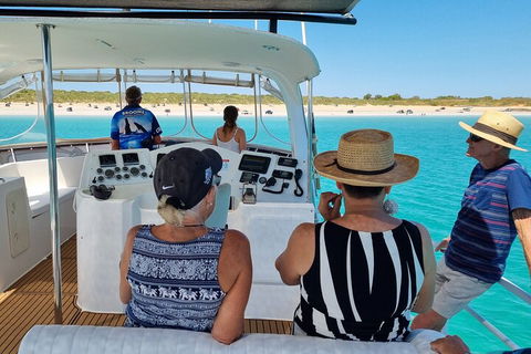 Snubfin Dolphin Eco Cruise From Broome - Tourism Brisbane 5