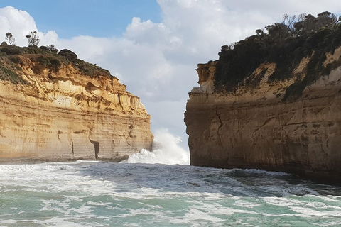 12 Apostles Tour From Warrnambool - Tourism Brisbane 2