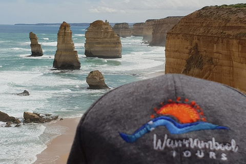 12 Apostles Tour From Warrnambool - Tourism Brisbane 4
