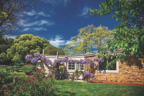McLaren Vale Winery Small Group Tour With Wine Tasting And Lunch - Tourism Brisbane 2