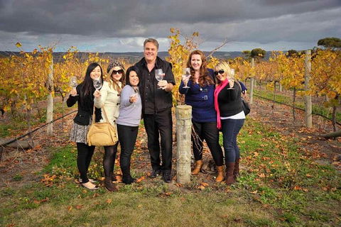 McLaren Vale Winery Small Group Tour With Wine Tasting And Lunch - Tourism Brisbane 3