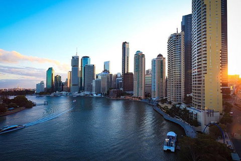 Brisbane City Highlights With Lone Pine! - Brisbane Tourism 3