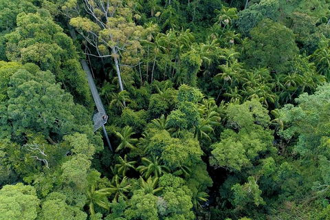 Natural Bridge, Skywalk And Mt Tamborine Adventure! - Brisbane 4u 2
