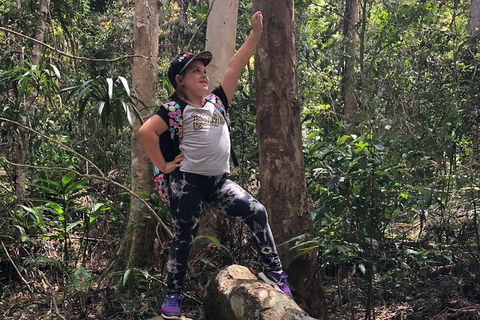 Natural Bridge, Skywalk And Mt Tamborine Adventure! - Brisbane 4u 3