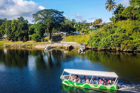 Afternoon Half-Day Daintree Rainforest And River Tour - Brisbane Tourism 1