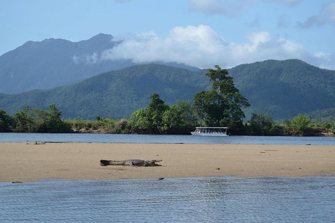 Afternoon Half-Day Daintree Rainforest And River Tour - Brisbane Tourism 2