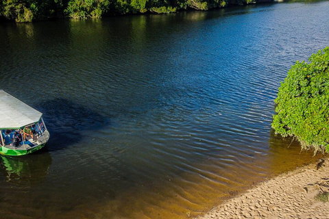 Afternoon Half-Day Daintree Rainforest And River Tour - Brisbane Tourism 3