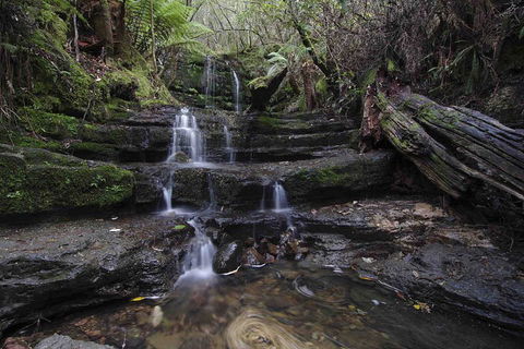 Hobart And Surrounds Photography Workshop - Tourism Brisbane 1