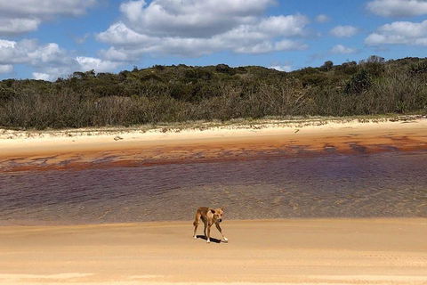 Pippies 3 Days 2 Nights Fraser Island Tour - Tourism Brisbane 2