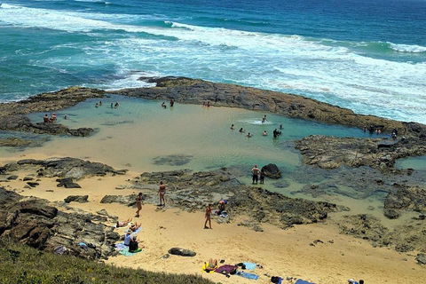 Pippies 3 Days 2 Nights Fraser Island Tour - Tourism Brisbane 5