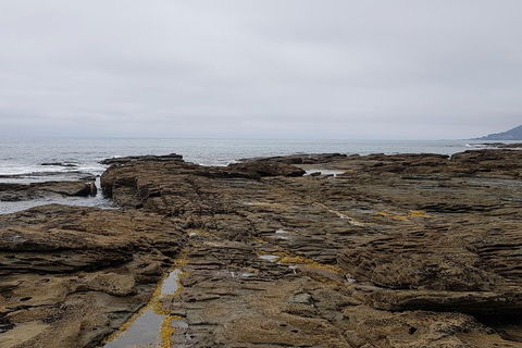 Luxury Private Great Ocean Road Tour Up To 11 People - Entire Vehicle - Tourism Brisbane 1