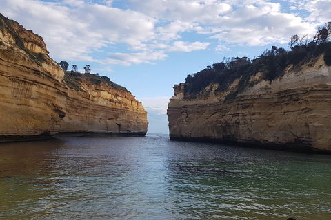 Luxury Private Great Ocean Road Tour Up To 11 People - Entire Vehicle - Tourism Brisbane 2