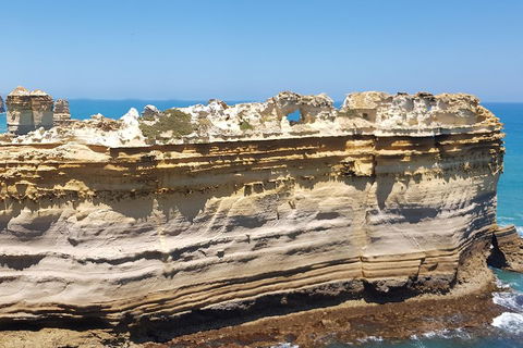 Luxury Private Great Ocean Road Tour Up To 11 People - Entire Vehicle - Tourism Brisbane 4