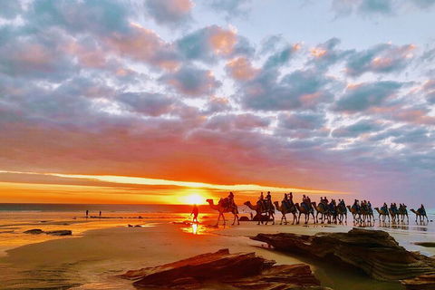 1 Hour Broome Sunset Camel Tour - Tourism Brisbane 0