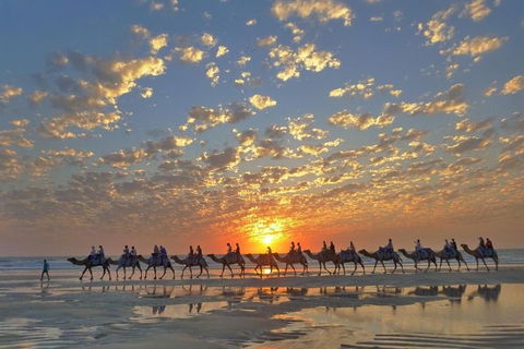 1 Hour Broome Sunset Camel Tour - Tourism Brisbane 1