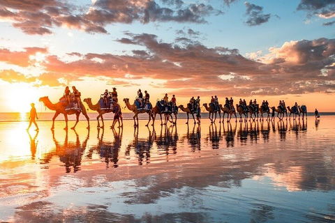 1 Hour Broome Sunset Camel Tour - Tourism Brisbane 2