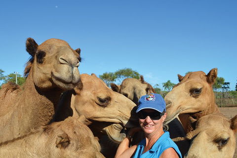 1 Hour Broome Sunset Camel Tour - Tourism Brisbane 3