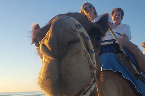 1 Hour Broome Sunset Camel Tour - Tourism Brisbane 4