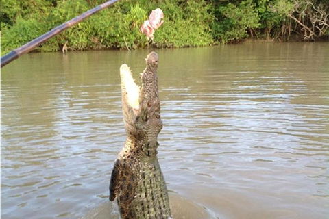 Litchfield National Park And Jumping Crocodile Cruise - Tourism Brisbane 2
