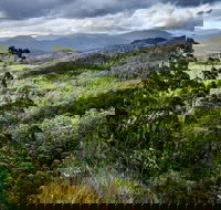 3-Day Tour to the Falls Mountains Lake  More of West Coast Tasmania - Tourism Brisbane
