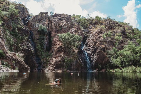 Litchfield National Park Day Tour From Darwin With Waterfalls And Buley Rockhole - Tourism Brisbane 1
