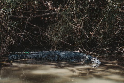 Kakadu Full-Day Tour From Darwin With Lunch - Tourism Brisbane 4