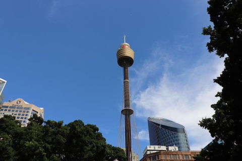 Private Sydney City Customized Tour - Tourism Brisbane 0